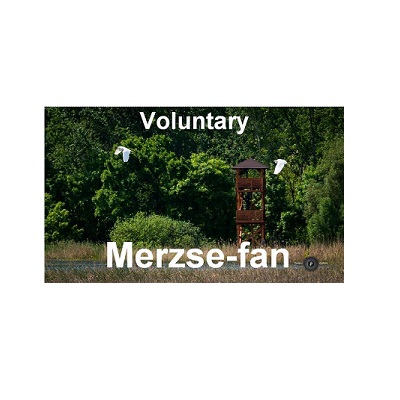 07_Merzse-fan